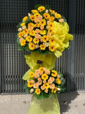 Hoa Chúc Mừng-HCM17