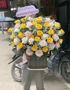 Hoa Bó-HB21