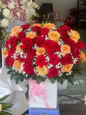 Hoa Bó-HB21
